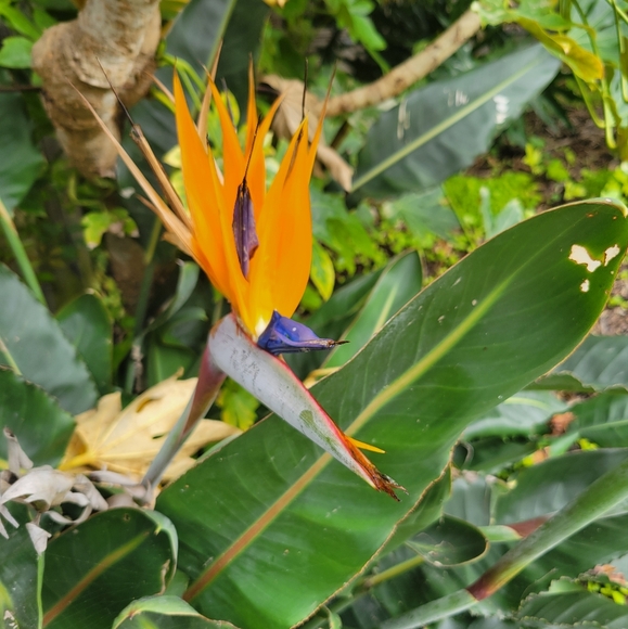 Meet your Posher Olga - Picture 6 of 11